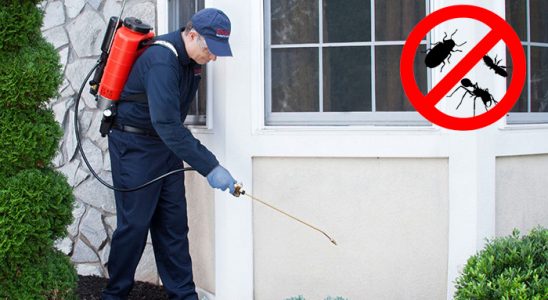 Gülşehir Akrep İlaçlama böcek ilaçlama ve haşere kontrolü — ilaclama-tr.com